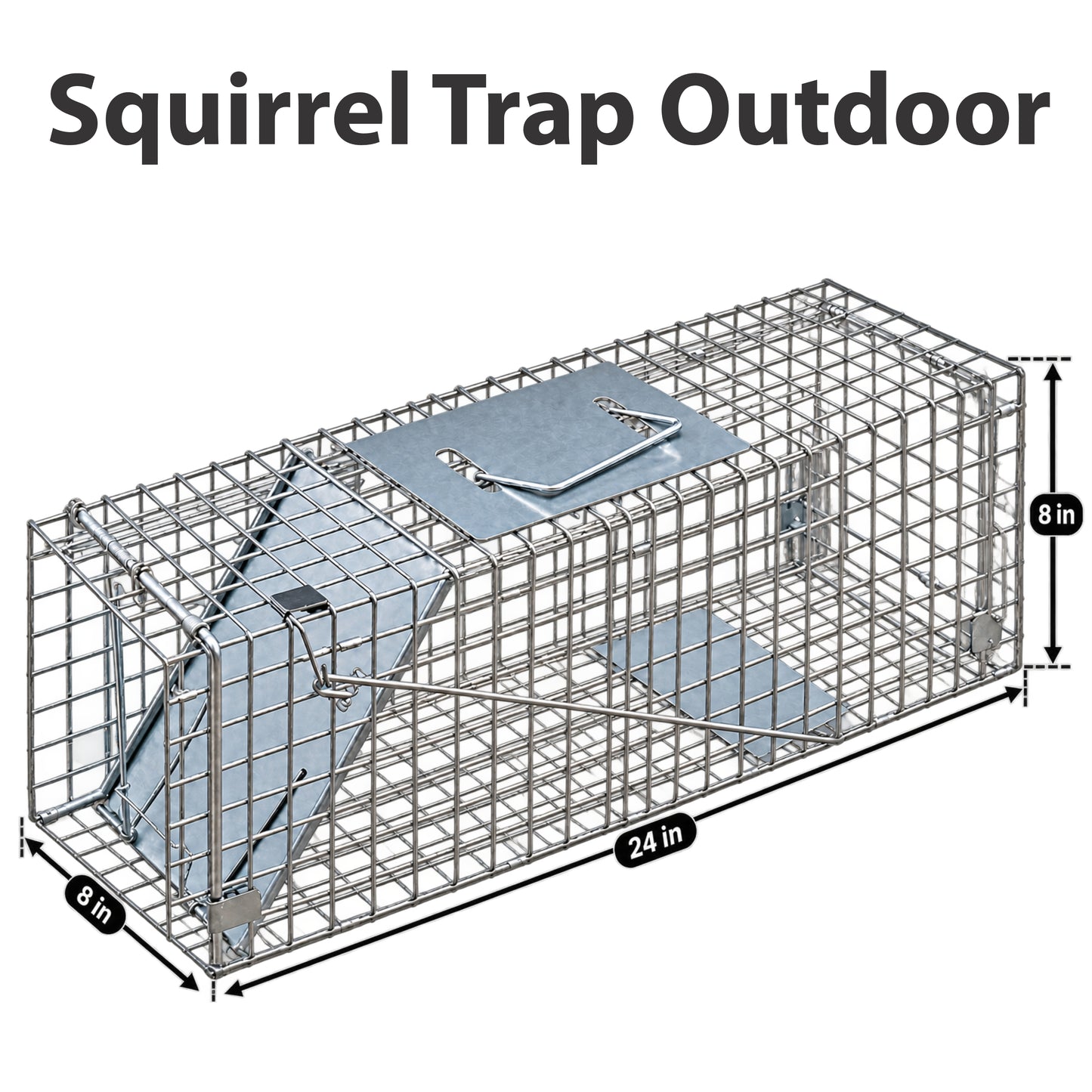 Squirrel Trap Outdoor