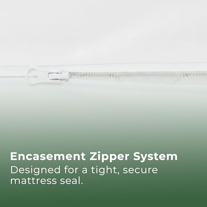 Bed Bugs Mattress Cover