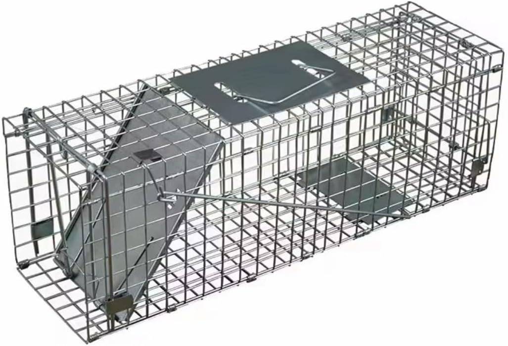 Raccon Trap Outdoor