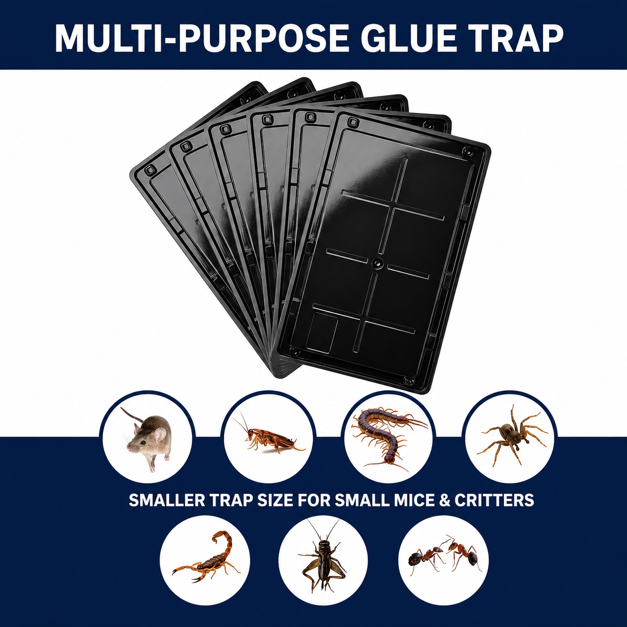Coremaster Glue Traps for Rats, Mice & Snakes