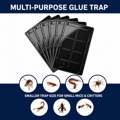 Coremaster Glue Traps for Rats, Mice & Snakes
