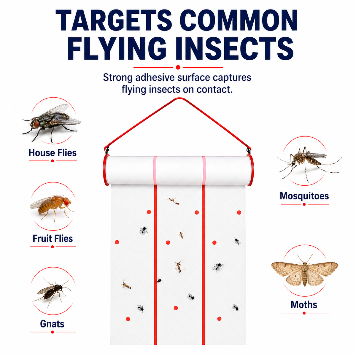 Coremaster Flying Insect Trap - Disposable Hanging Trap for Flies, Moths & Gnats