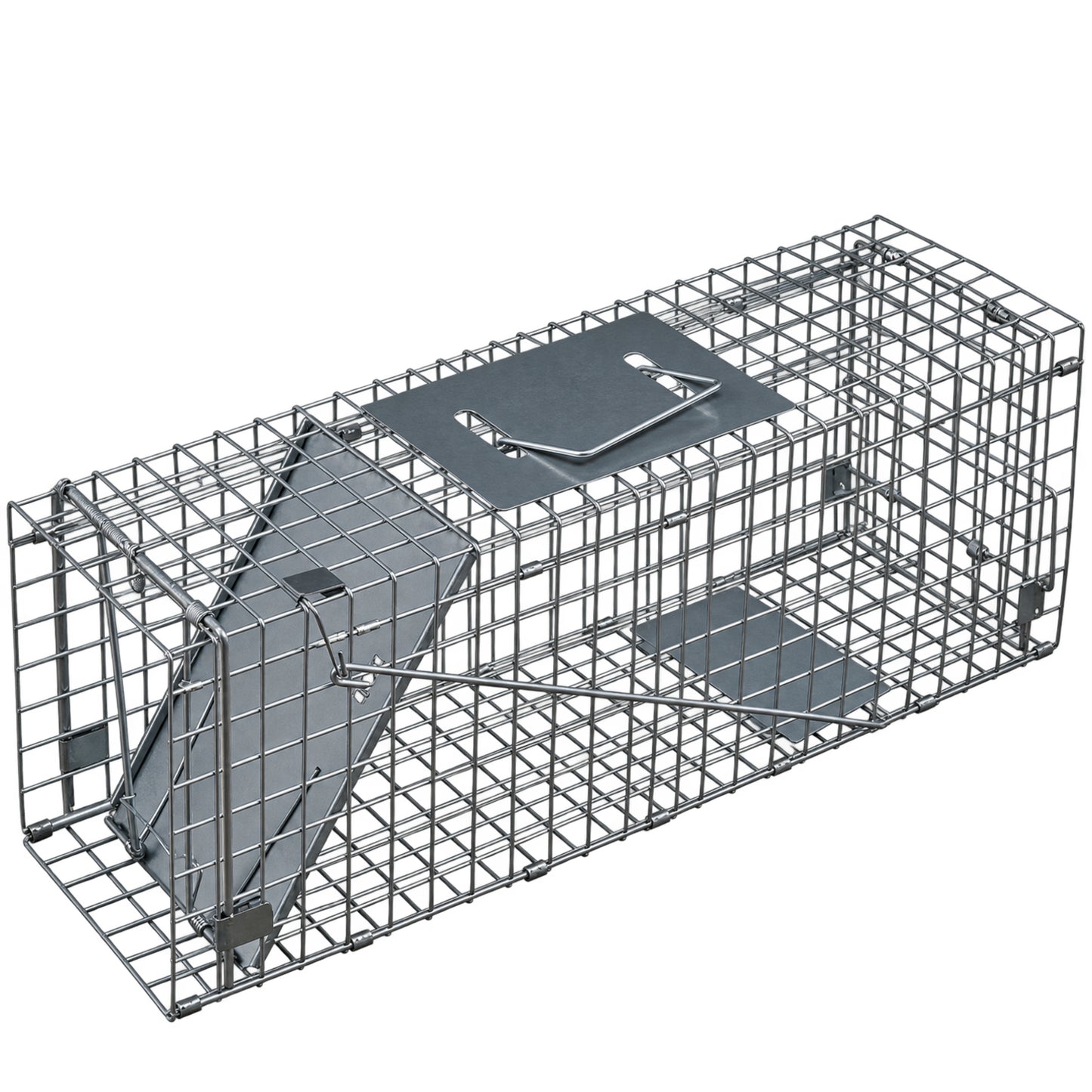 Squirrel Trap Outdoor