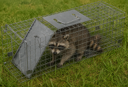 Coremaster Live Animal Trap - Humane Foldable Cage Trap