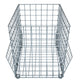 Raccoon One Way Door