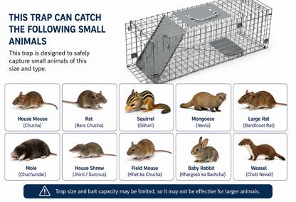 Coremaster Live Animal Trap - Humane Foldable Cage Trap