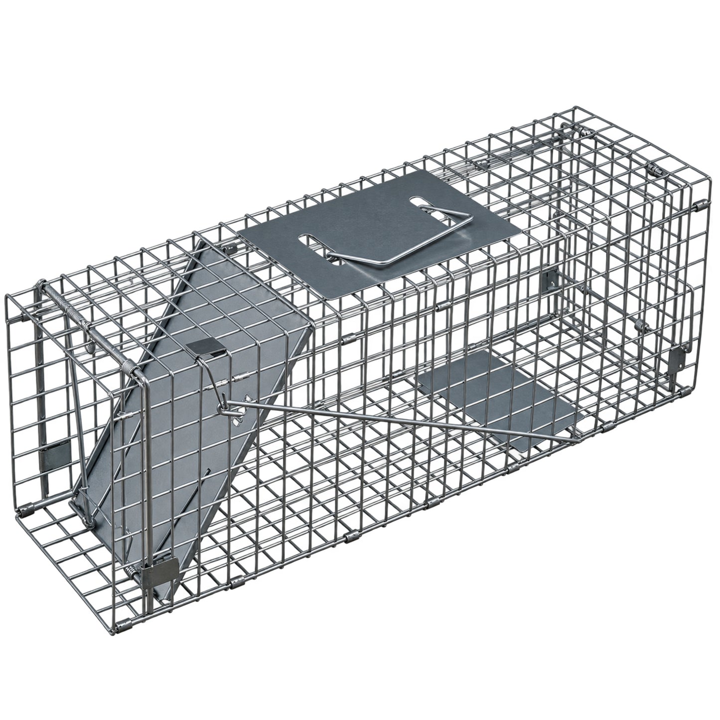 Raccoon Trap Outdoor