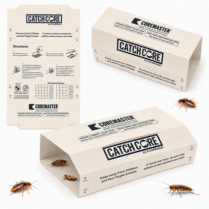 CatchCore Mouse & Insect Glue Traps for Indoor Pest Control