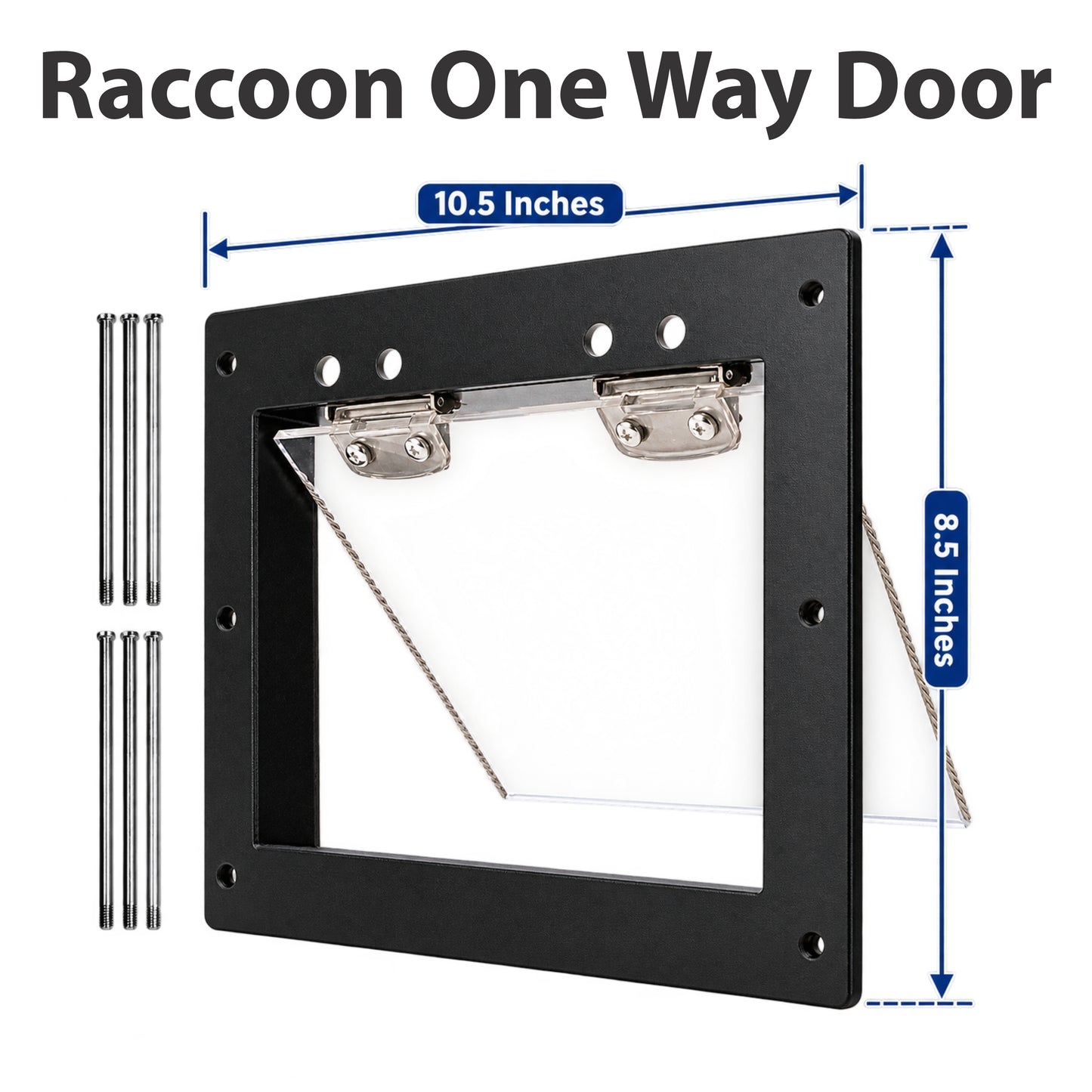 Raccon One Way Door