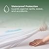Coremaster Waterproof Bed Bug Mattress Protector