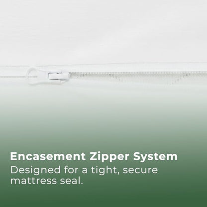 Bed Bugs Mattress Cover
