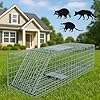 Squirrel Trap Outdoor