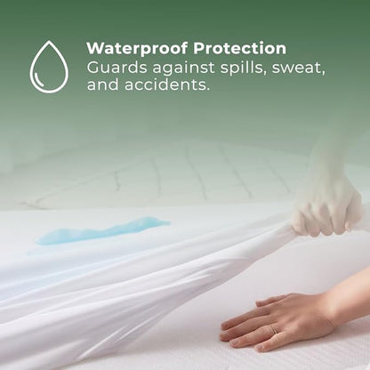 Bed Bugs Mattress Cover