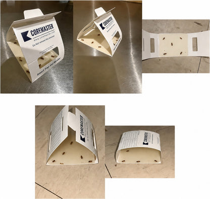 Coremaster Insect Monitor Traps for Roaches, Ants & Crawling Insects