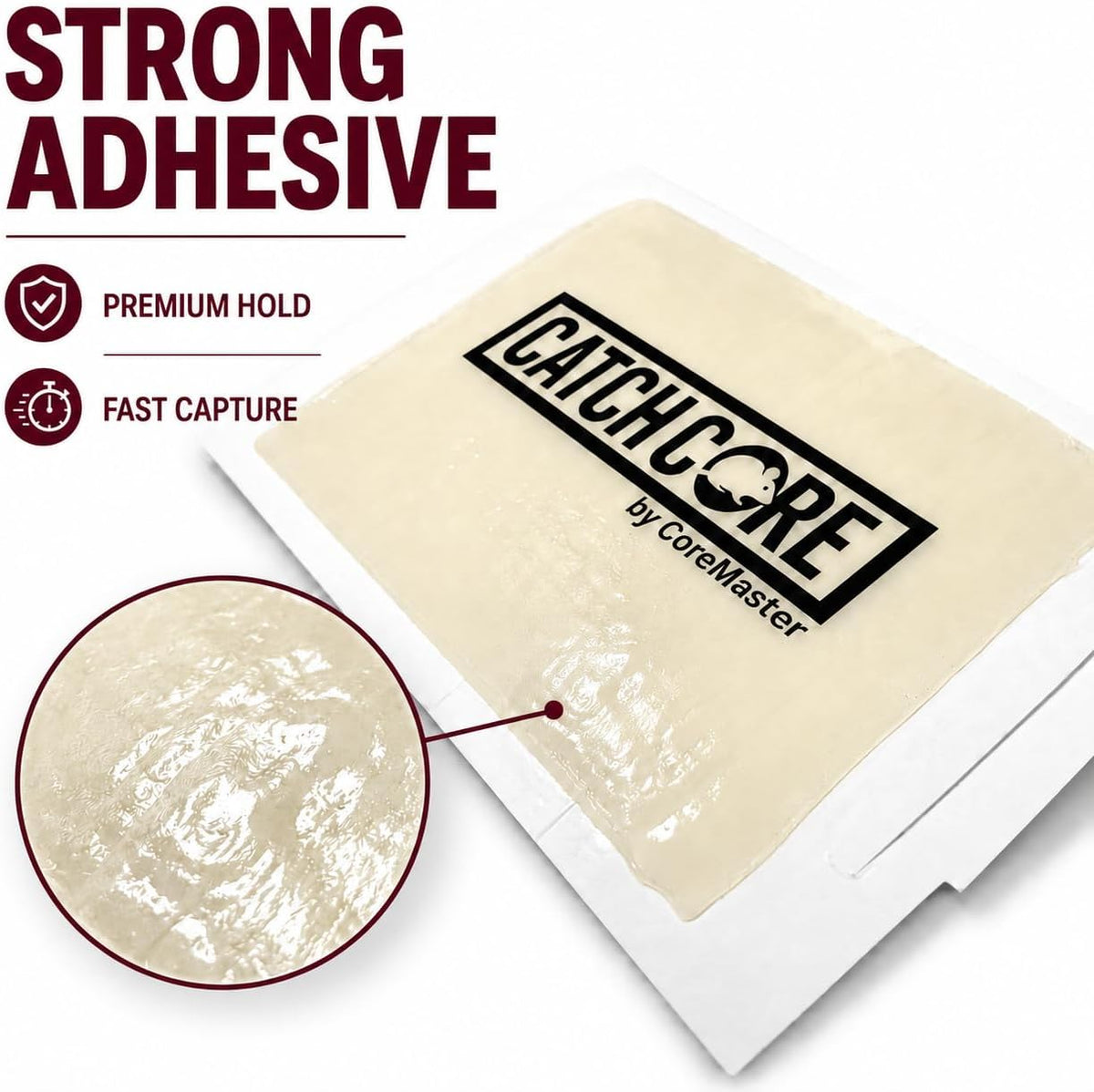 CatchCore Mouse & Insect Glue Traps - Indoor Pest Control, 6 to 72 Pack