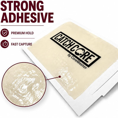 CatchCore Mouse & Insect Glue Traps - Indoor Pest Control, 6 to 72 Pack
