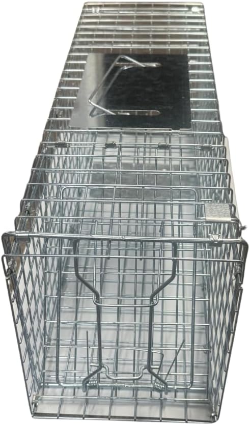 Humane Live Animal Trap for Squirrels, Skunk, Rats & Chipmunks