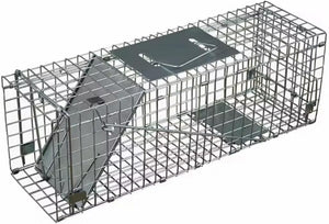 Raccon Trap Outdoor