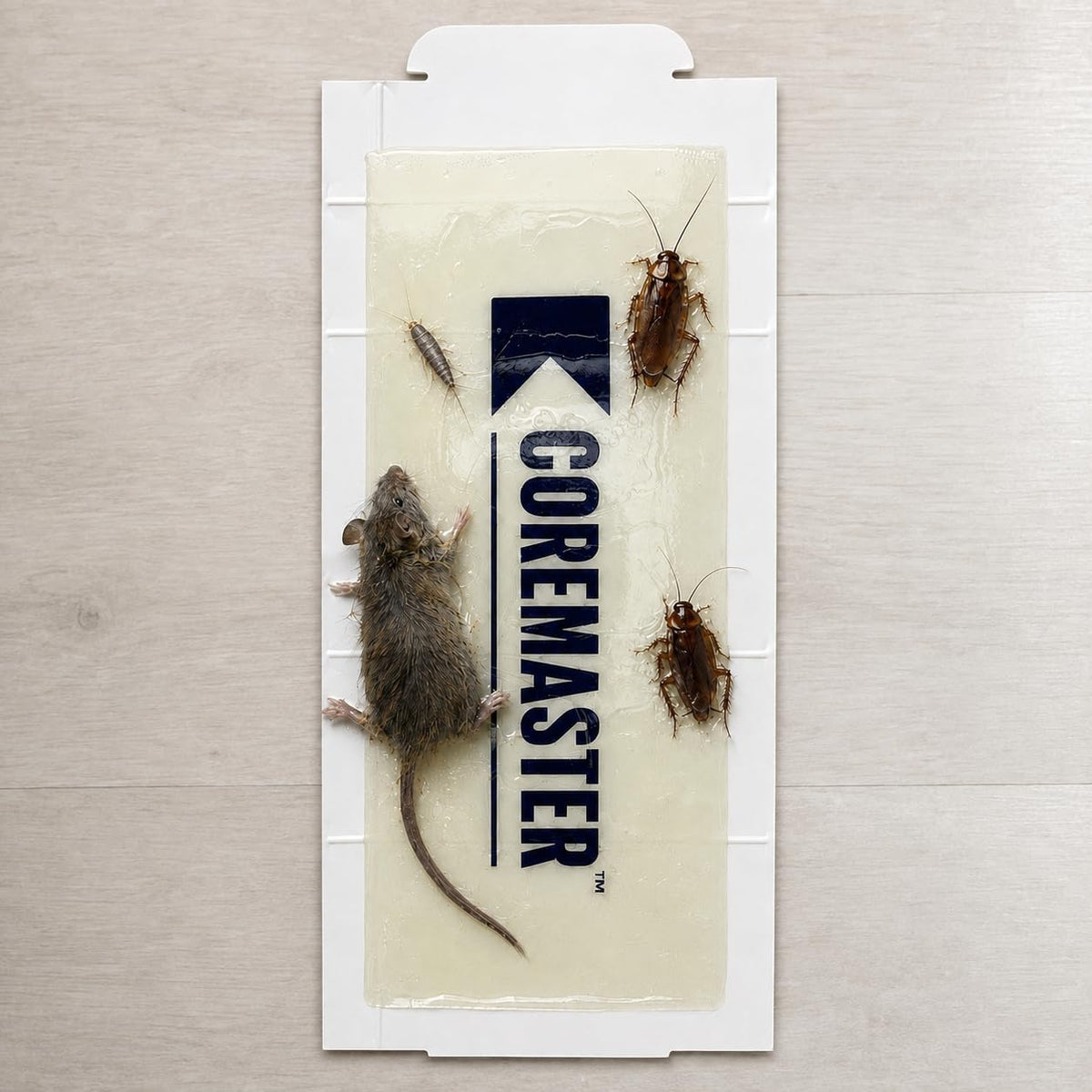 24 Pack Mouse & Insect Glue Traps – Indoor Pest Control