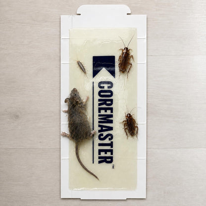 24 Pack Mouse & Insect Glue Traps – Indoor Pest Control