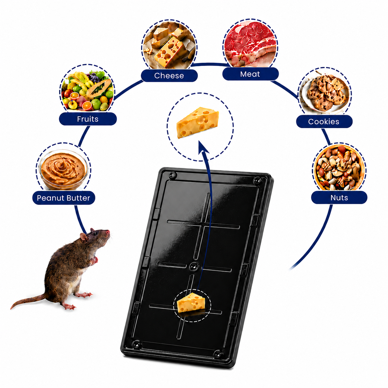 Coremaster Glue Traps for Rats, Mice & Snakes
