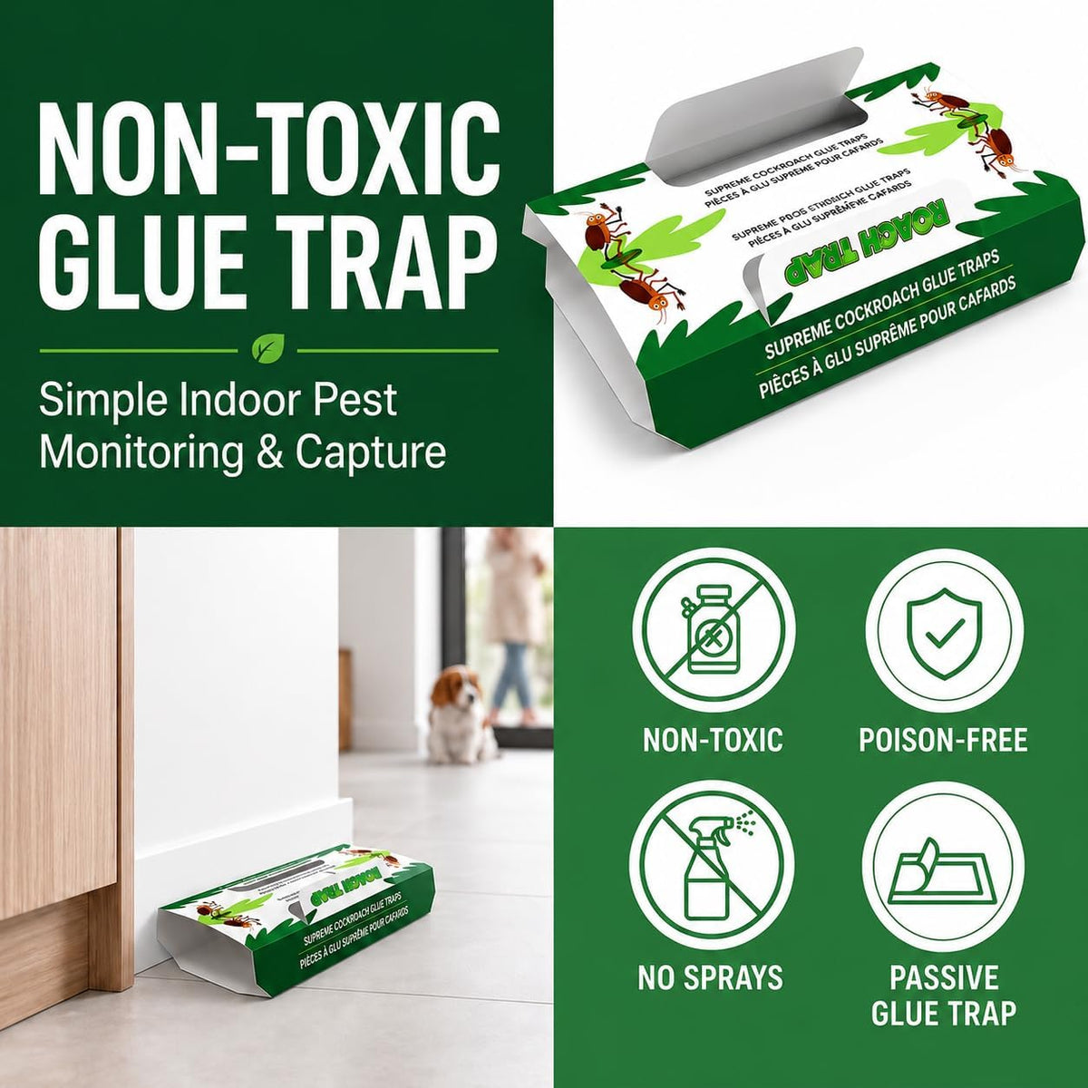 Coremaster Cockroach Traps with Adhesive & Grain Attractant - 12 Pack