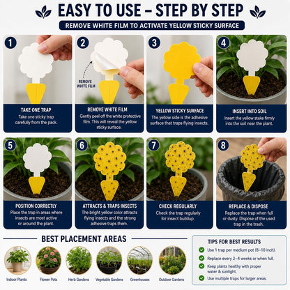 Coremaster Yellow Sticky Gnat Traps for Houseplants - 10, 20 & 36 Pack