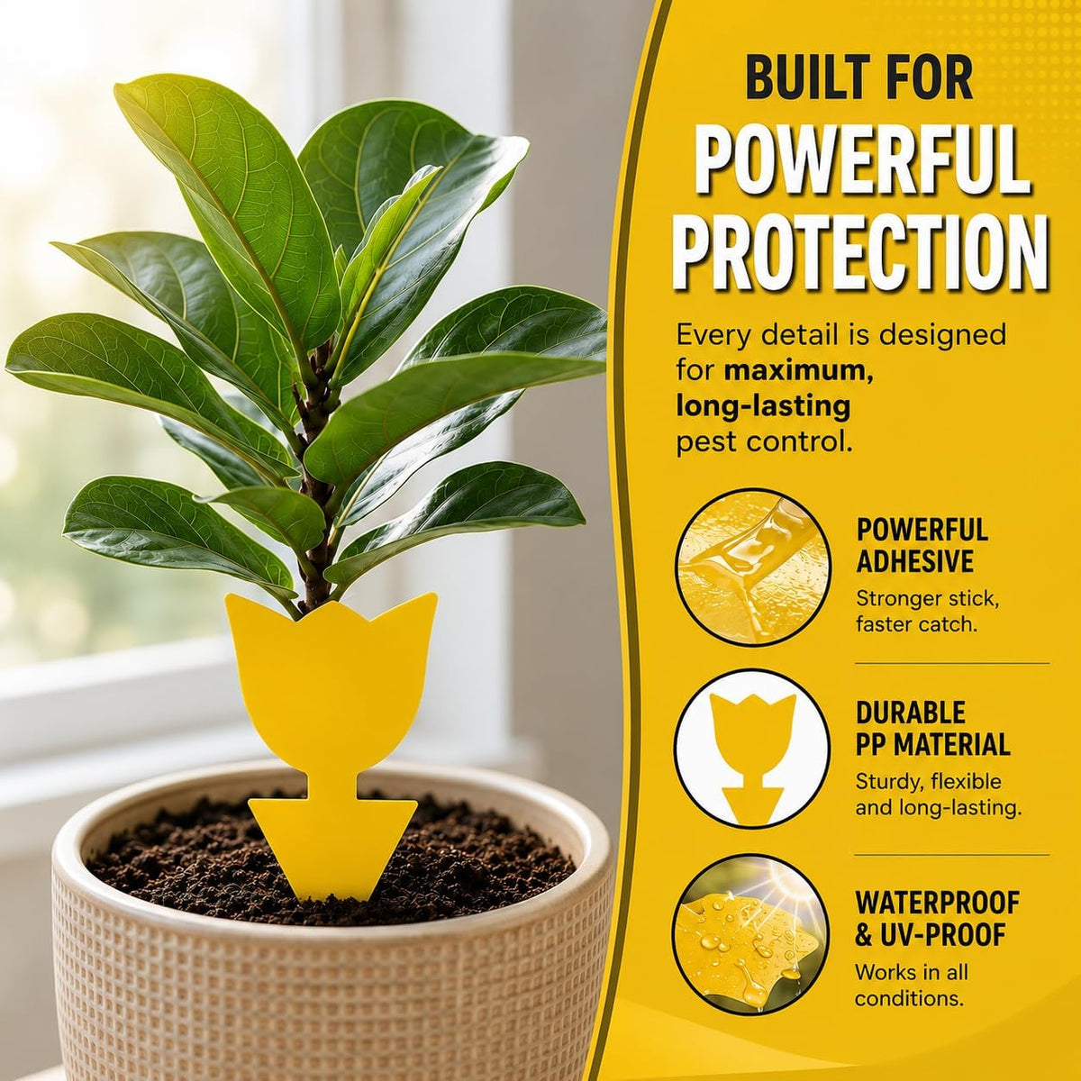Coremaster Yellow Sticky Gnat Traps for Houseplants - 10, 20 & 36 Pack