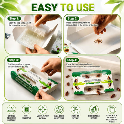 Coremaster Cockroach Traps with Adhesive & Grain Attractant - 12 Pack