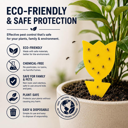 Coremaster Yellow Sticky Gnat Traps for Houseplants - 10, 20 & 36 Pack