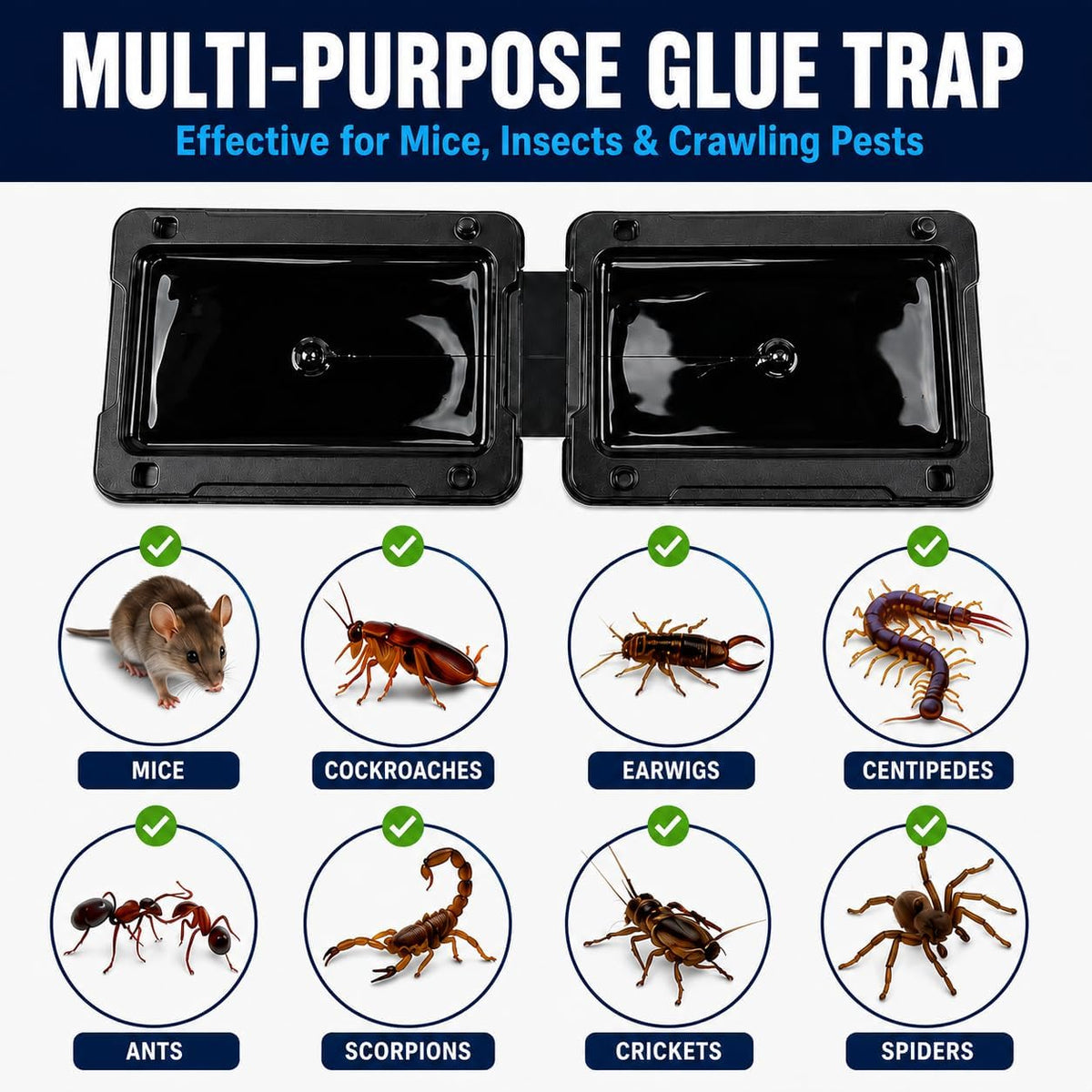 Coremaster Mouse Glue Traps for Indoor Rodent Control - 4 & 12 Pack