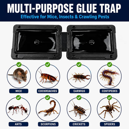 Coremaster Mouse Glue Traps for Indoor Rodent Control - 4 & 12 Pack