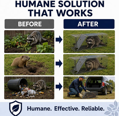 Humane Live Animal Trap for Squirrels, Skunk, Rats & Chipmunks