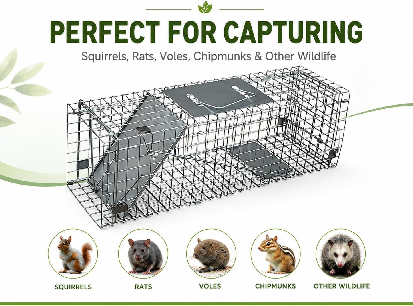 Humane Live Animal Trap for Squirrels, Skunk, Rats & Chipmunks