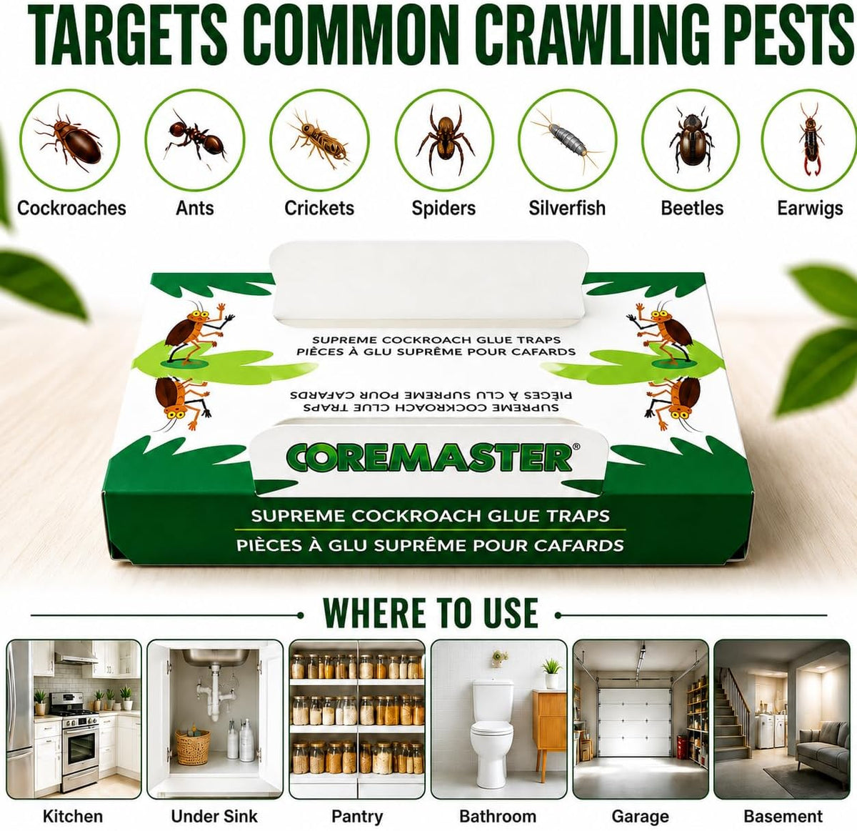 Coremaster Cockroach Traps with Adhesive & Grain Attractant - 12 Pack