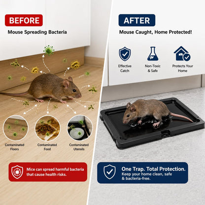 Coremaster Mouse Glue Traps for Indoor Rodent Control - 4 & 12 Pack