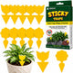 Coremaster Yellow Sticky Gnat Traps for Houseplants - 10, 20 & 36 Pack
