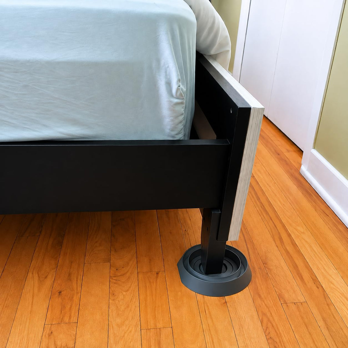 Coremaster Bed Bug Interceptors for Beds & Furniture - Chemical-Free Monitors