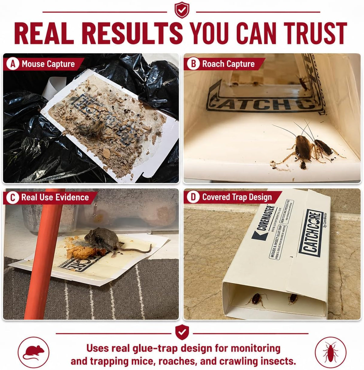 CatchCore Mouse & Insect Glue Traps - Indoor Pest Control, 6 to 72 Pack