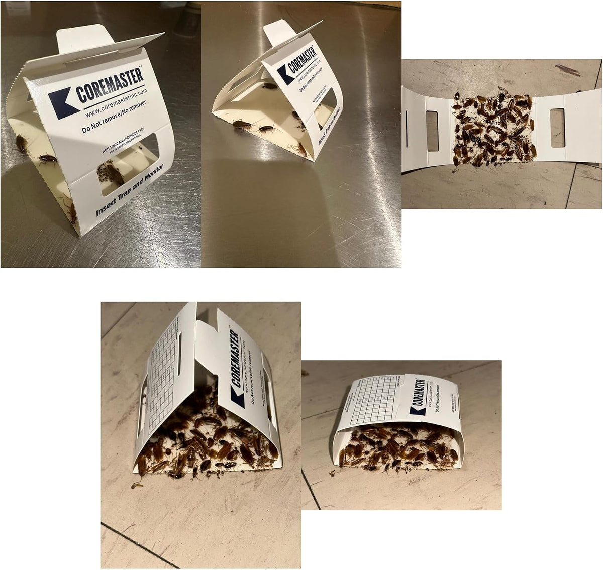 Coremaster Insect Monitor Traps for Roaches, Ants & Crawling Insects