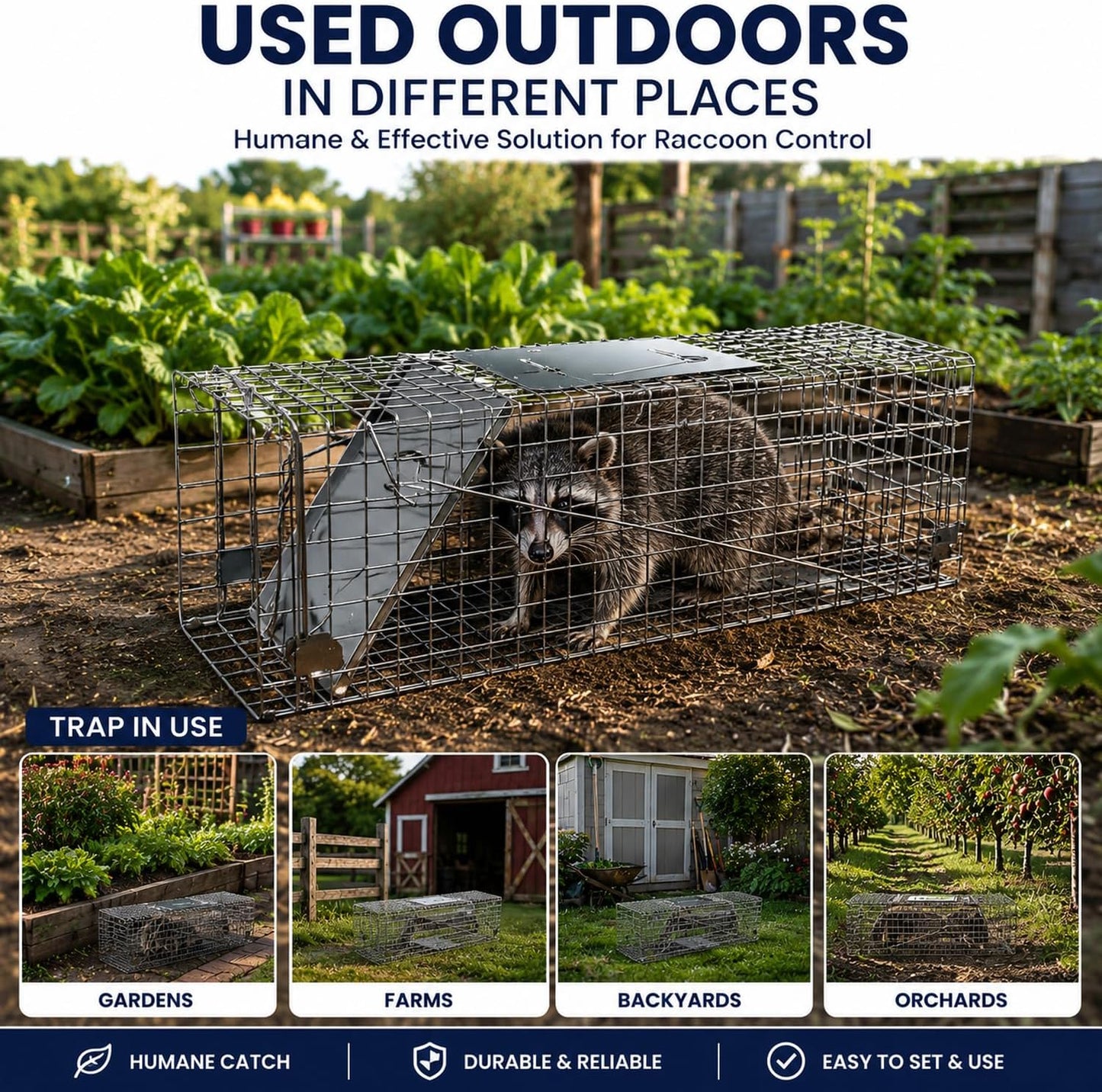 Humane Live Animal Trap for Squirrels, Skunk, Rats & Chipmunks