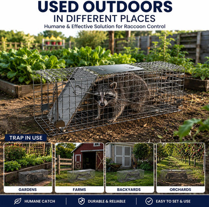 Humane Live Animal Trap for Squirrels, Skunk, Rats & Chipmunks