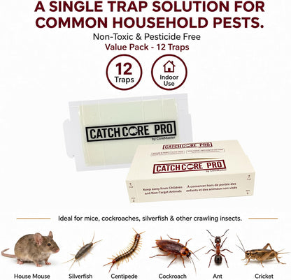 Catchcore PRO Mouse & Insect Glue Trap - Long-Lasting Adhesive, 12 & 36 Pack