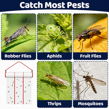 Coremaster Flying Insect Trap - Disposable Hanging Trap for Flies, Moths & Gnats