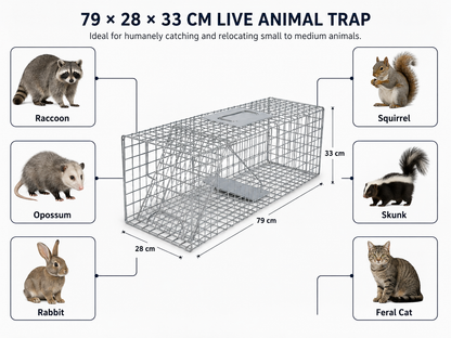 Coremaster Humane Live Animal Trap - Foldable Galvanized Steel Cage