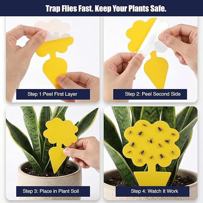 Coremaster Yellow Sticky Gnat Traps 10 Pack