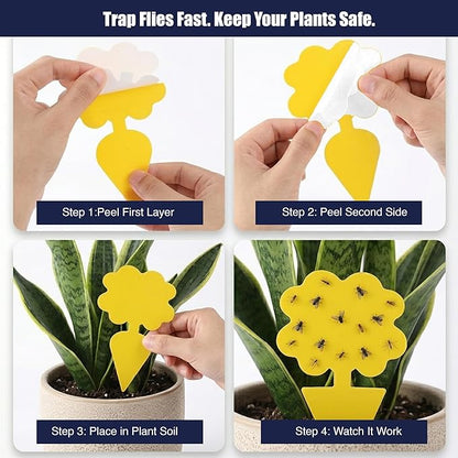 Coremaster Yellow Sticky Gnat Traps 10 Pack