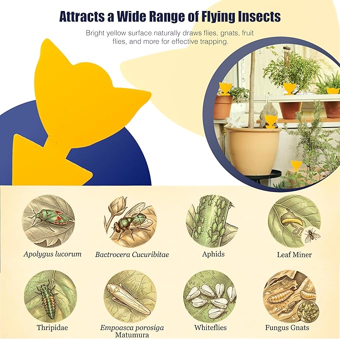Coremaster Yellow Sticky Gnat Traps 10 Pack