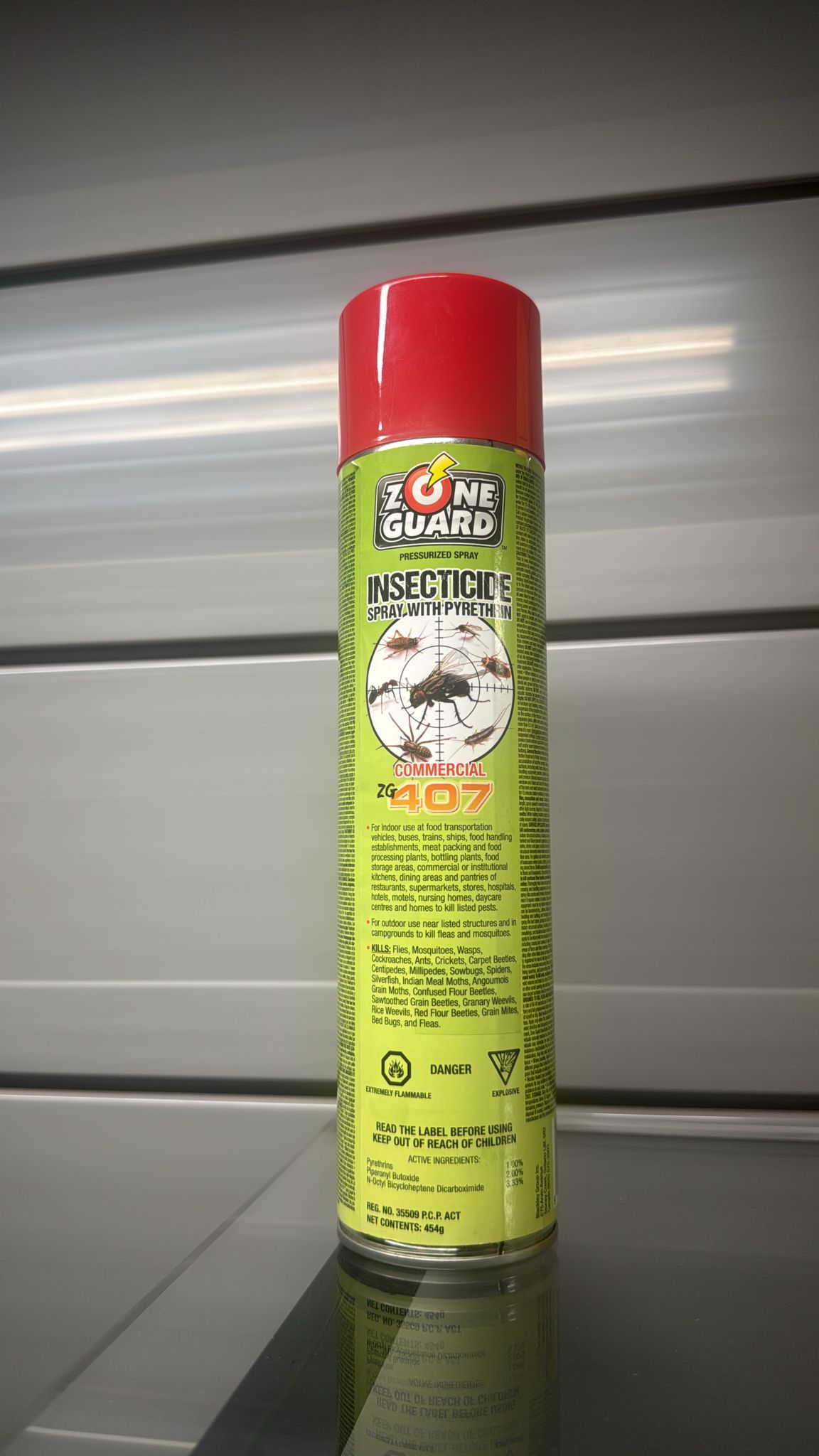 Zone Guard ZG 407 Commercial Aerosol Spray - 454 g