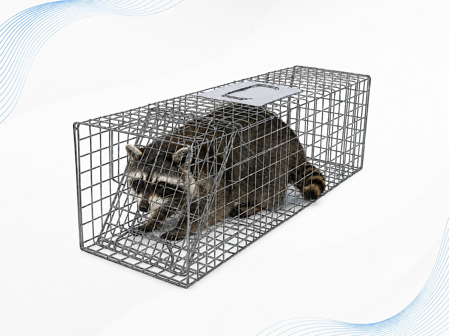 Coremaster Humane Live Animal Trap - Foldable Galvanized Steel Cage